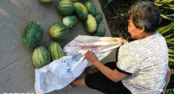 漳浦吃瓜最新事件爆料,揭秘背后惊人真相 第3张 漳浦吃瓜最新事件爆料,揭秘背后惊人真相 第3张