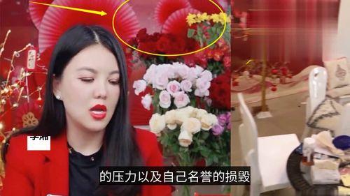 新疆明星爆料视频大全播放,精彩瞬间尽收眼底