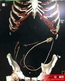 黄鳝门在线观看神马,揭秘网络直播背后的惊悚真相 第3张 黄鳝门在线观看神马,揭秘网络直播背后的惊悚真相 第3张